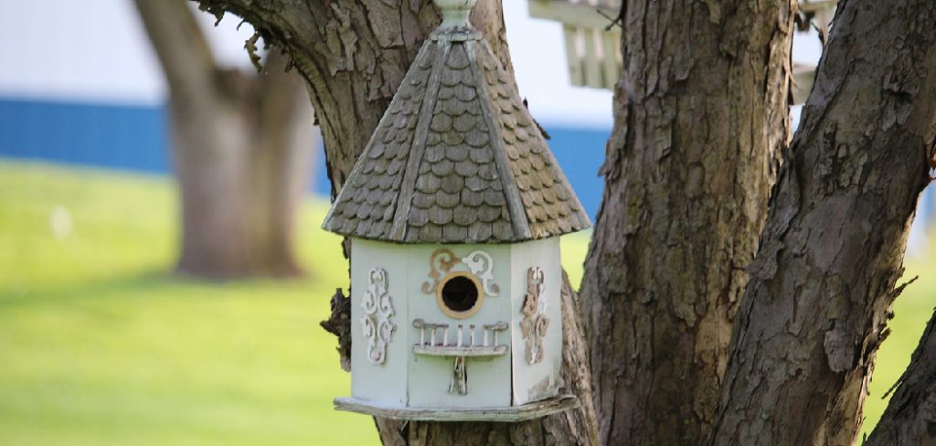 Birdhouse Building Guide