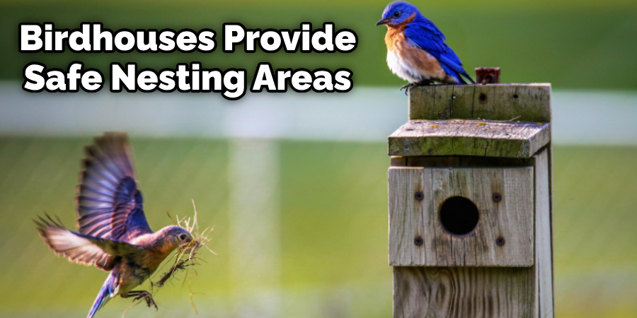 Birdhouses Provide
Safe Nesting Areas
