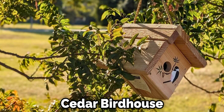 Cedar Birdhouse