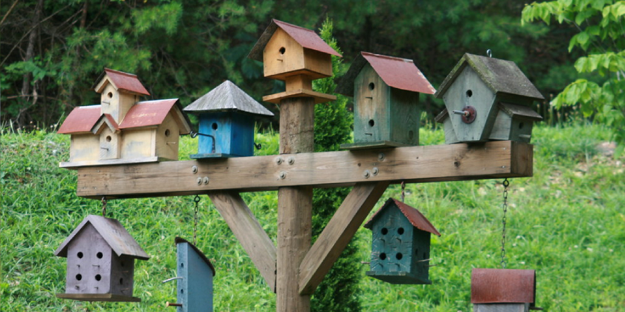 Types of Birdhouses for Different Birds