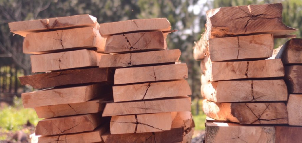 Softwoods Explained: Characteristics, Types & Uses