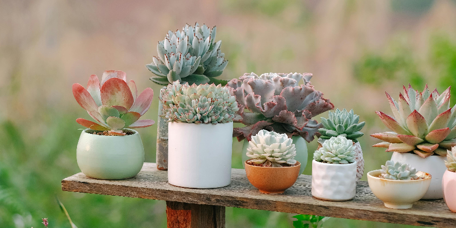 Simple Pallet Wood Plant Stand